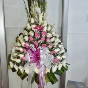 Ramo H10 Especiales #20